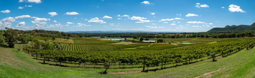 Quel vin va prendre de la valeur ?