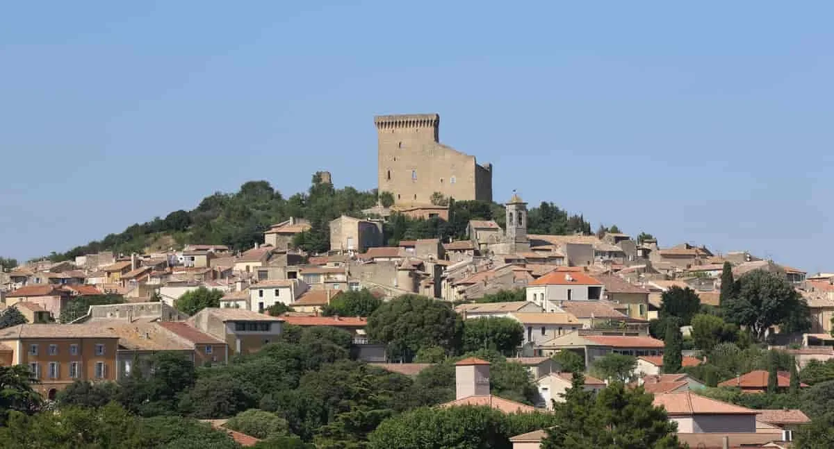 Où acheter du vin à Chateauneuf du Pape ?