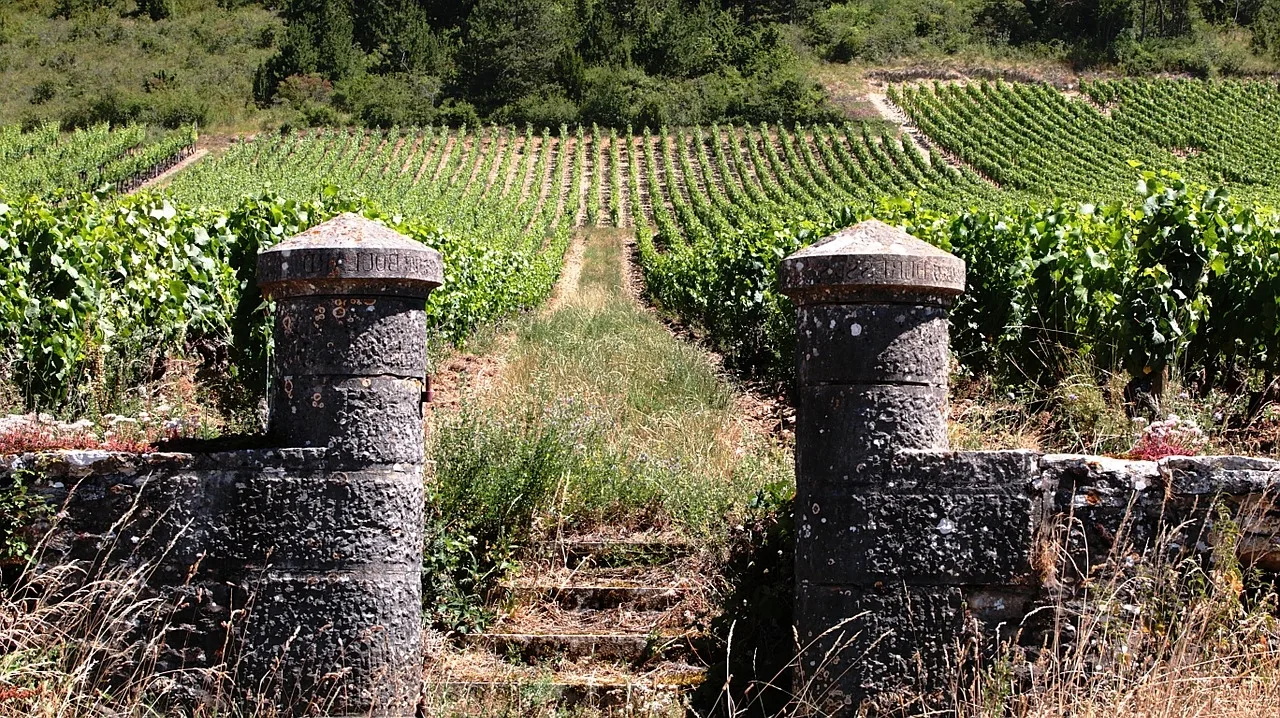 Quel est le prix du vin le plus cher au monde ?