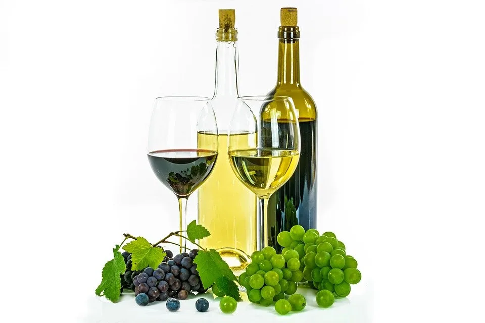 La formation avancée wset 3 : description, objectif et financement