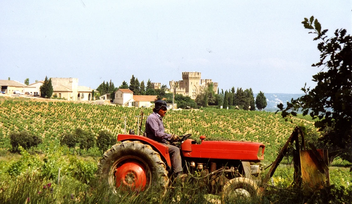 Quel fromage avec Chateauneuf du Pape rouge ?