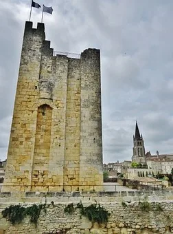 Comment déguster un grand cru ?
