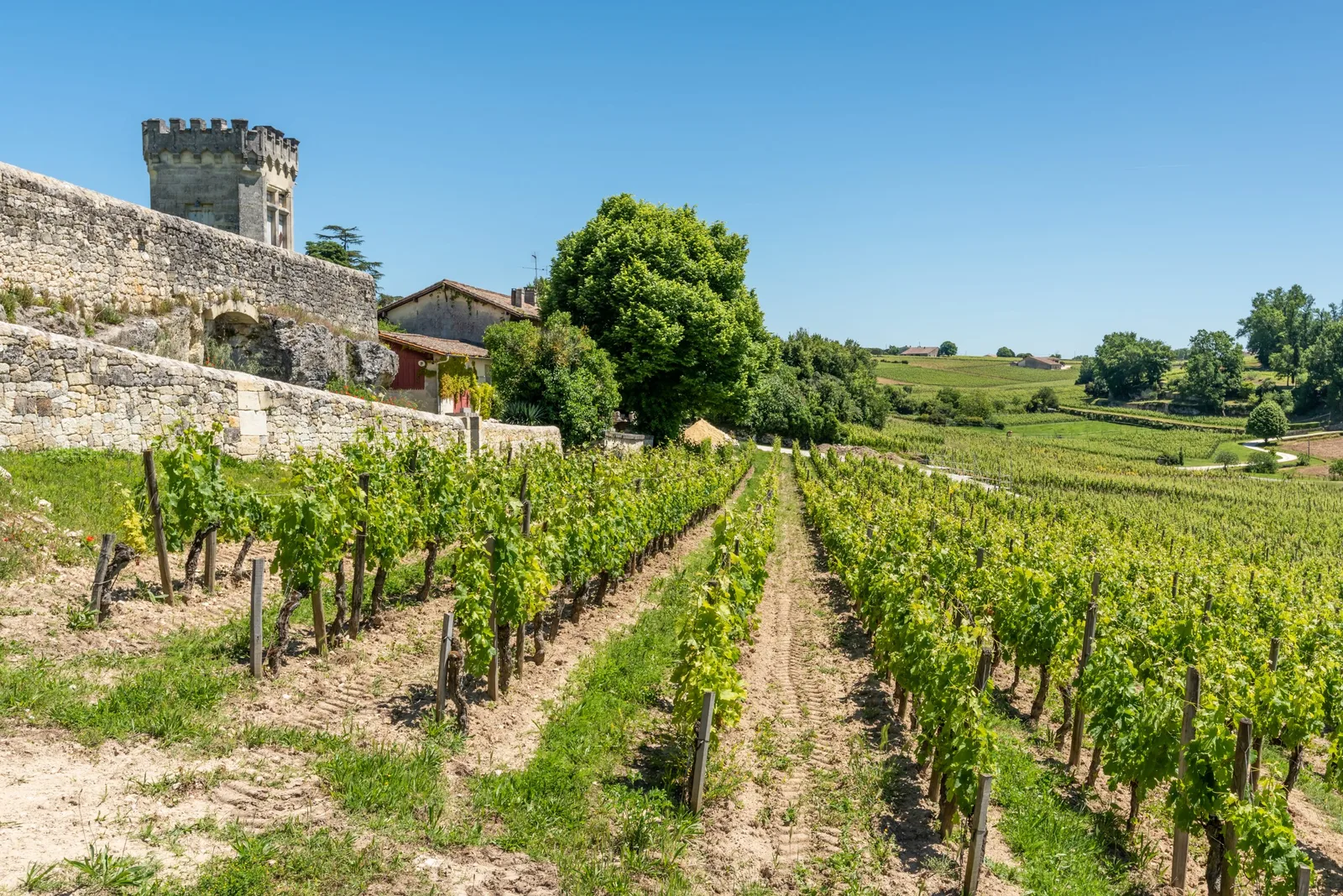 Quel château viticole visiter autour de Bordeaux ?