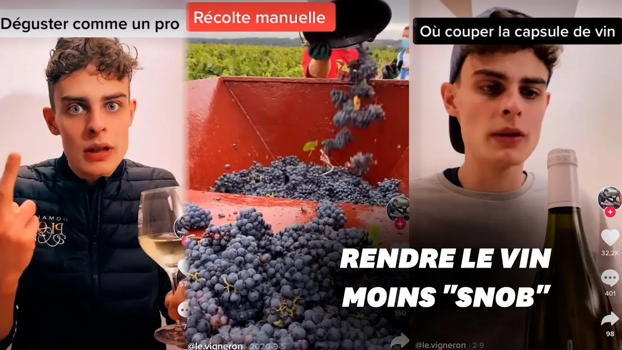 Top des meilleurs vins à étudier en oenologie
