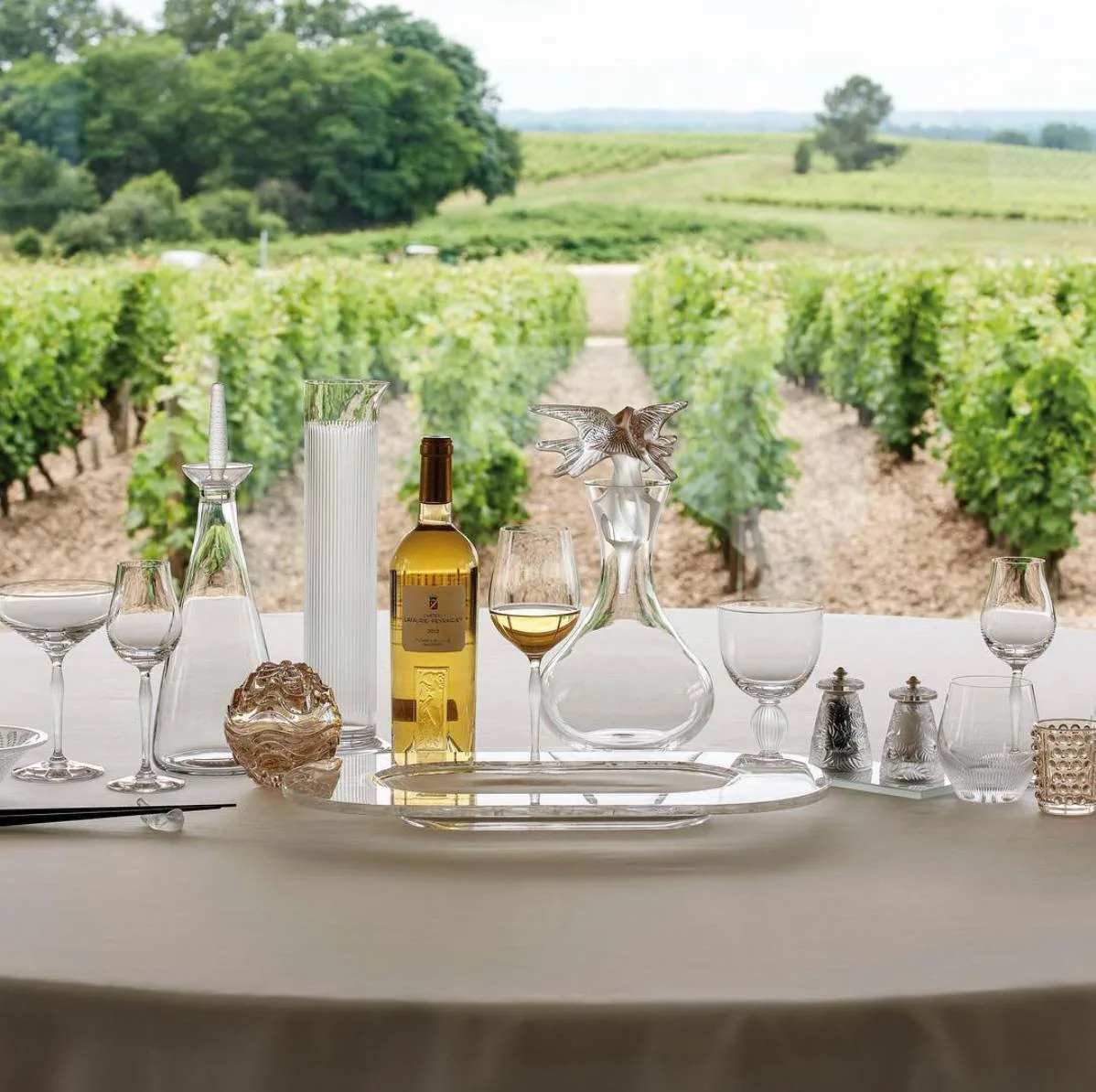 Les bonnes raisons d’effectuer une visite de vignoble