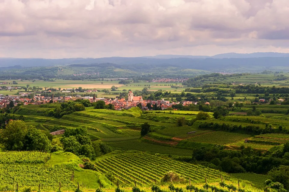 Gigondas : une appellation d’exception à connaître