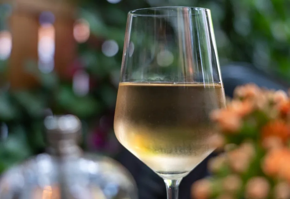 Quels vins boire à l’apéritif ?