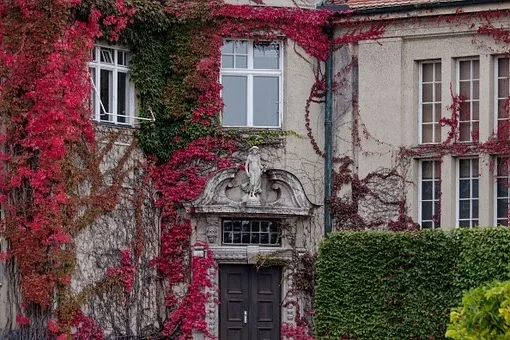 Quel plat pour le Beaujolais nouveau ?