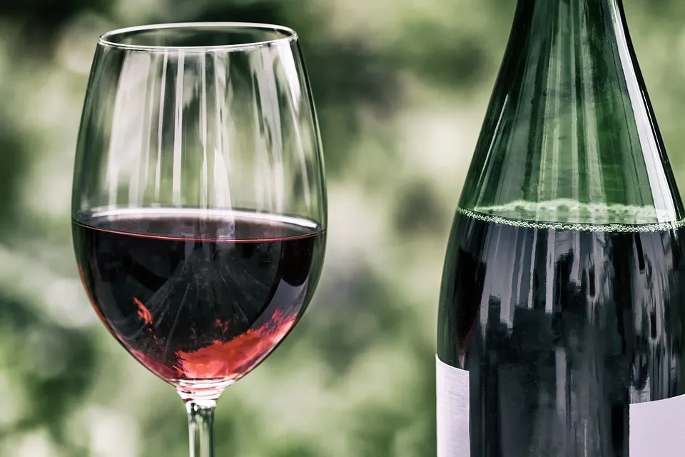Sancerre : l’excellence du vin blanc de Loire