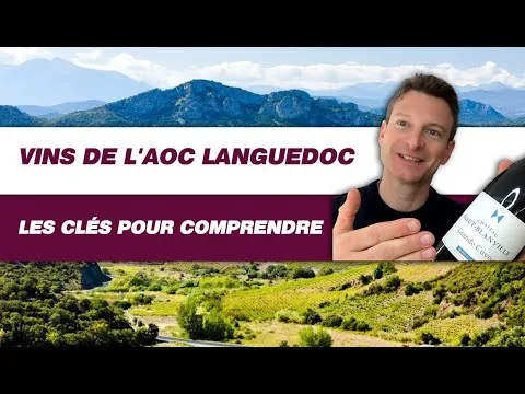 Meilleurs vins du Languedoc : Comment les choisir?