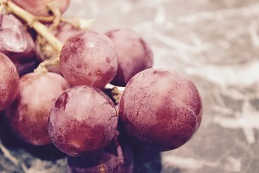 Comment se fait le Banyuls ?
