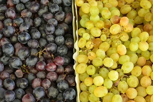 Comment reconnaître un bon vin ?