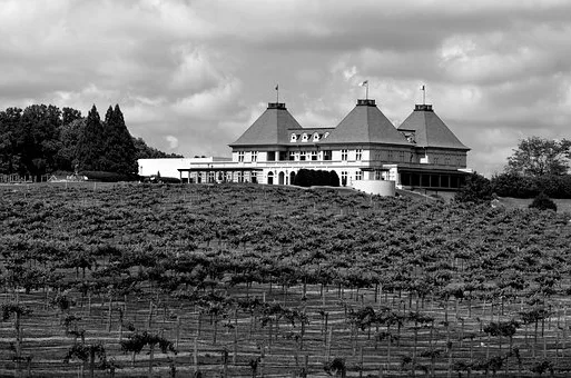Quel est le vin le plus cher au monde ?