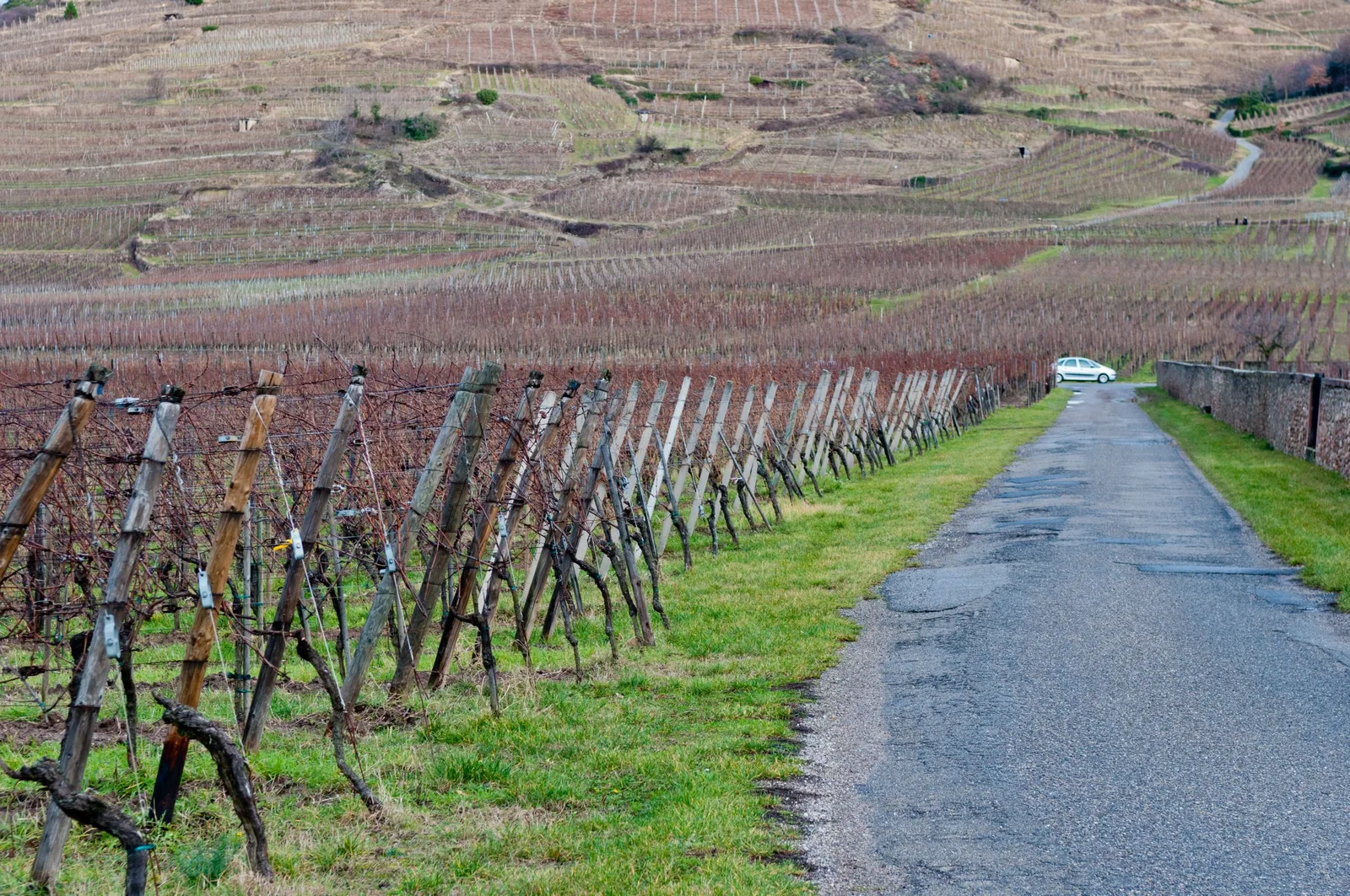 Quel vin servir avec une choucroute garnie ?
