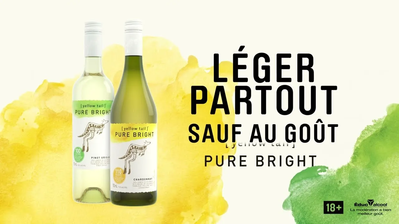 Repas légers : Quels sont les meilleurs vins à servir ?