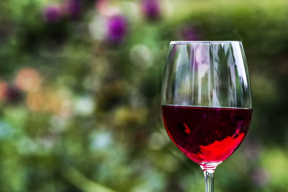 Côte-Rôtie : Les vignobles les plus renommés de France