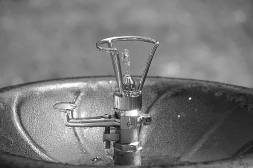 Quand boire un Vosne-romanée ?