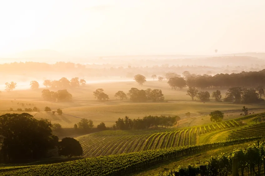 Comment déplacer une cave à vin ?