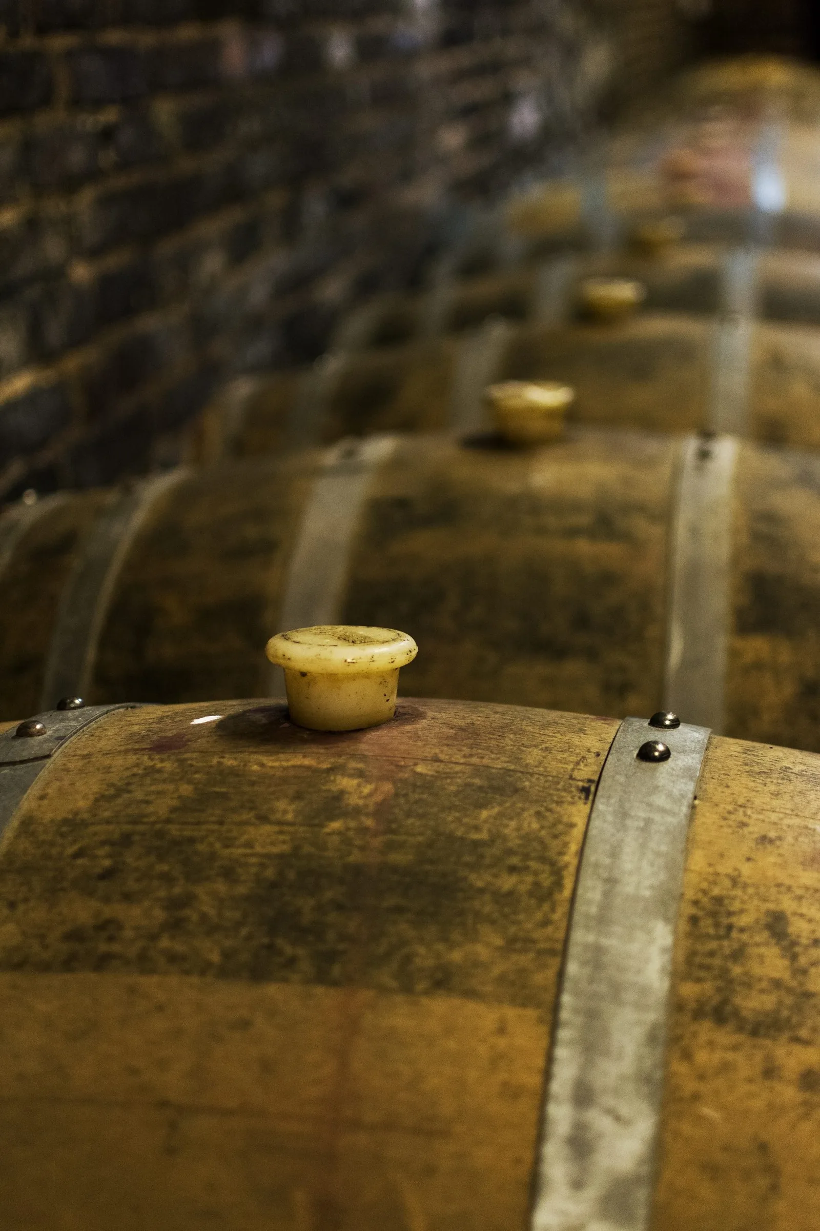 Quel est le meilleur chardonnay ?