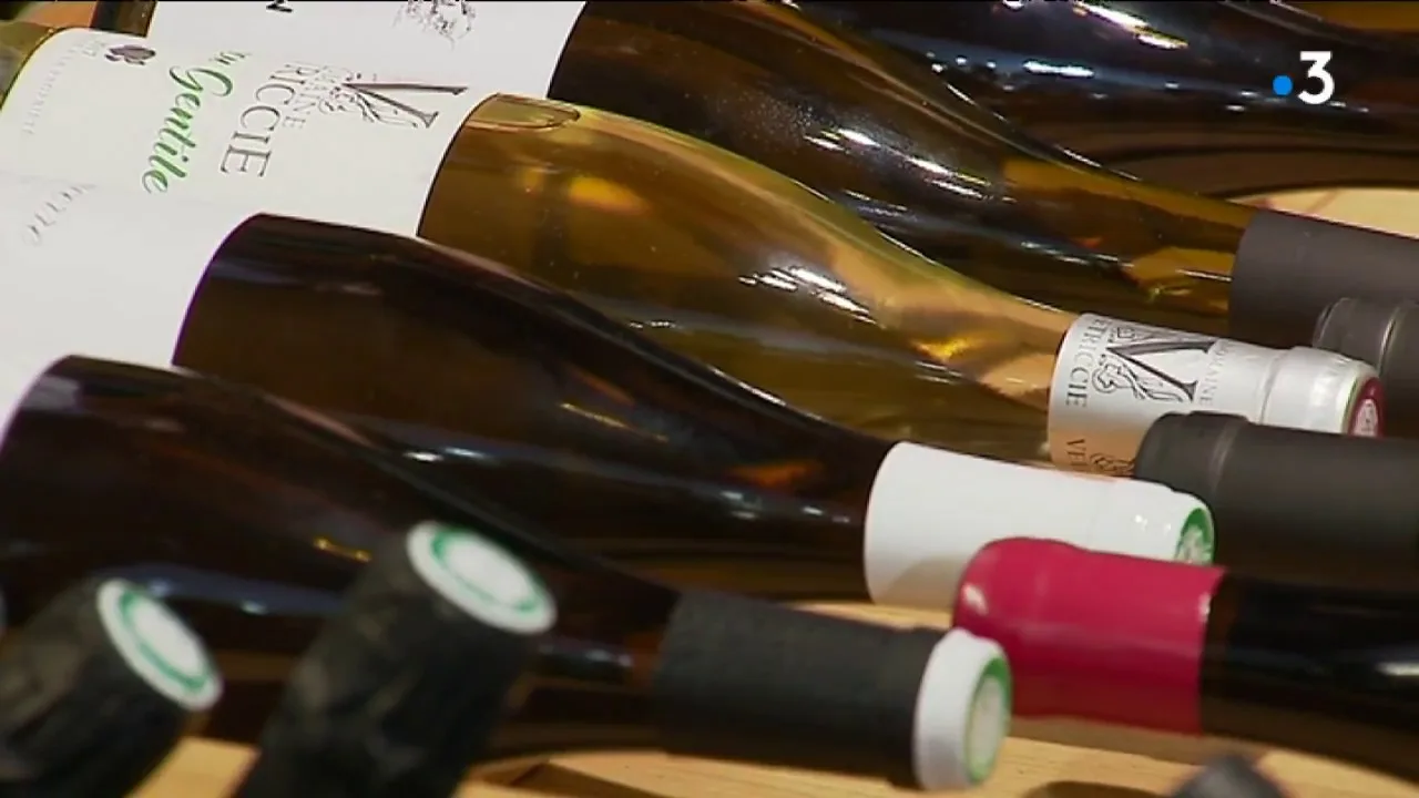 Quels sont les meilleurs vins grand cru de Bourgogne ?