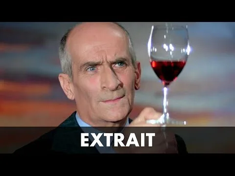 Repas gastronomiques : Quels sont les meilleurs vins ?