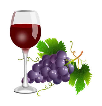 Quel est le meilleur vin du Beaujolais ?
