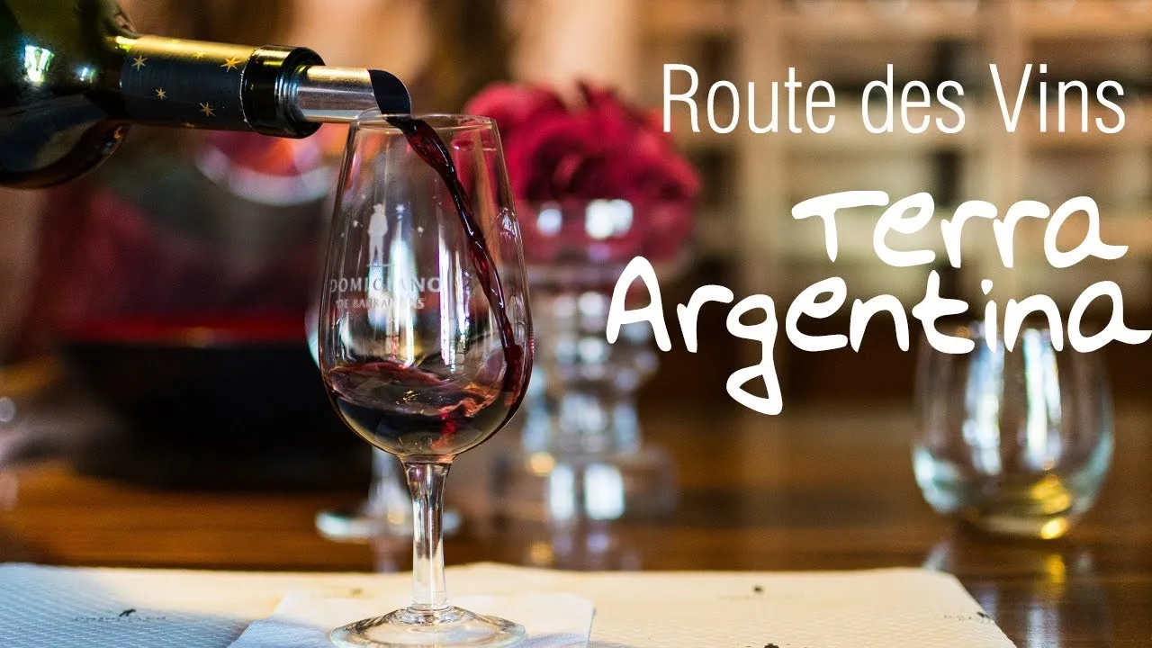 Pourquoi les vins argentins sont-ils considérés parmi les meilleurs ?