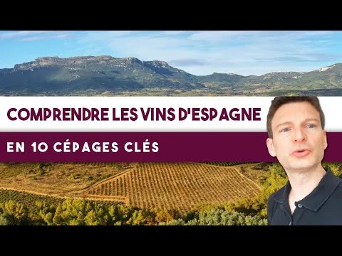 Pourquoi les meilleurs vins espagnols sont-ils si populaires ?