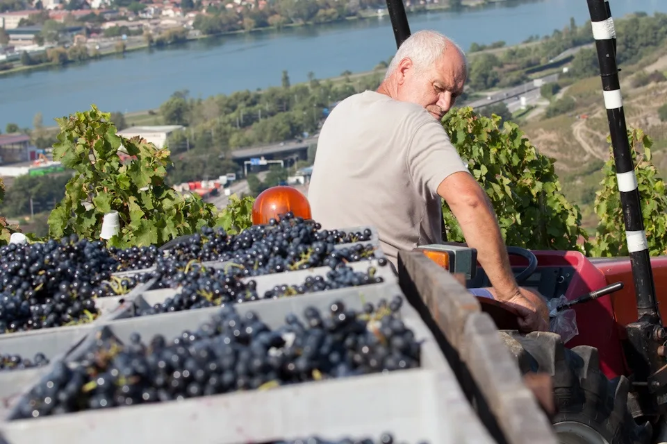 Comment savoir ce que vaut un vin ?