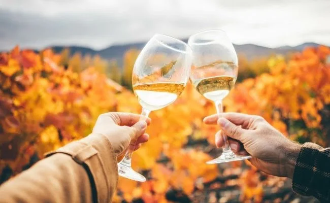 Découverte automnale des vignobles de la High Sierra