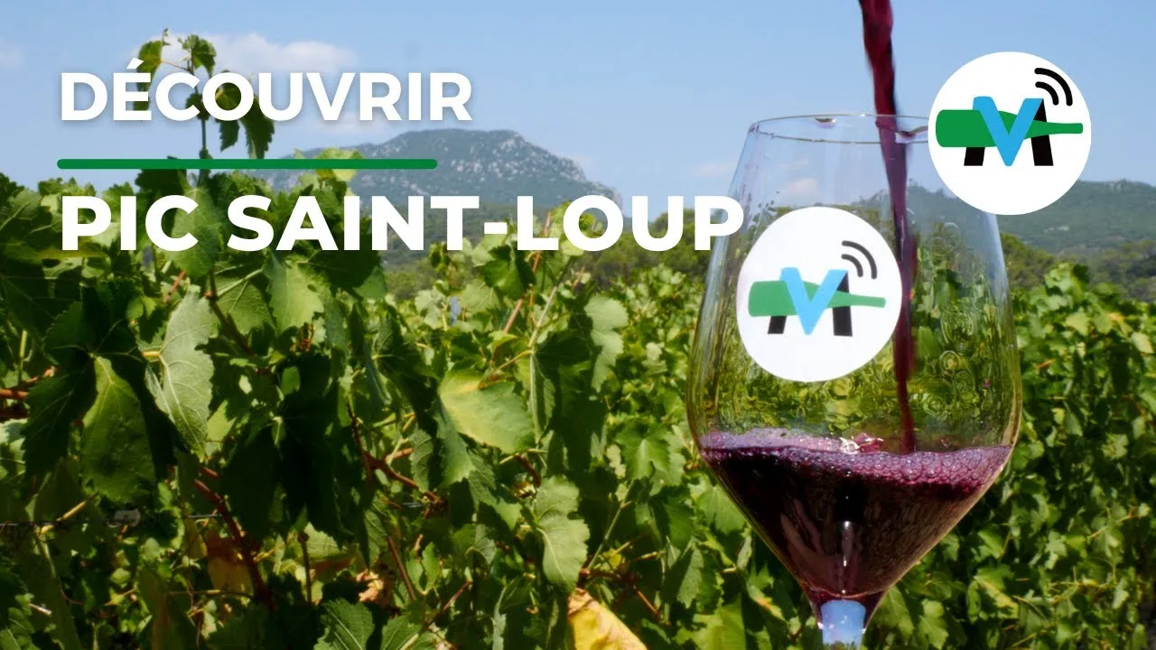 Quels sont les meilleurs vins du Pic Saint Loup?