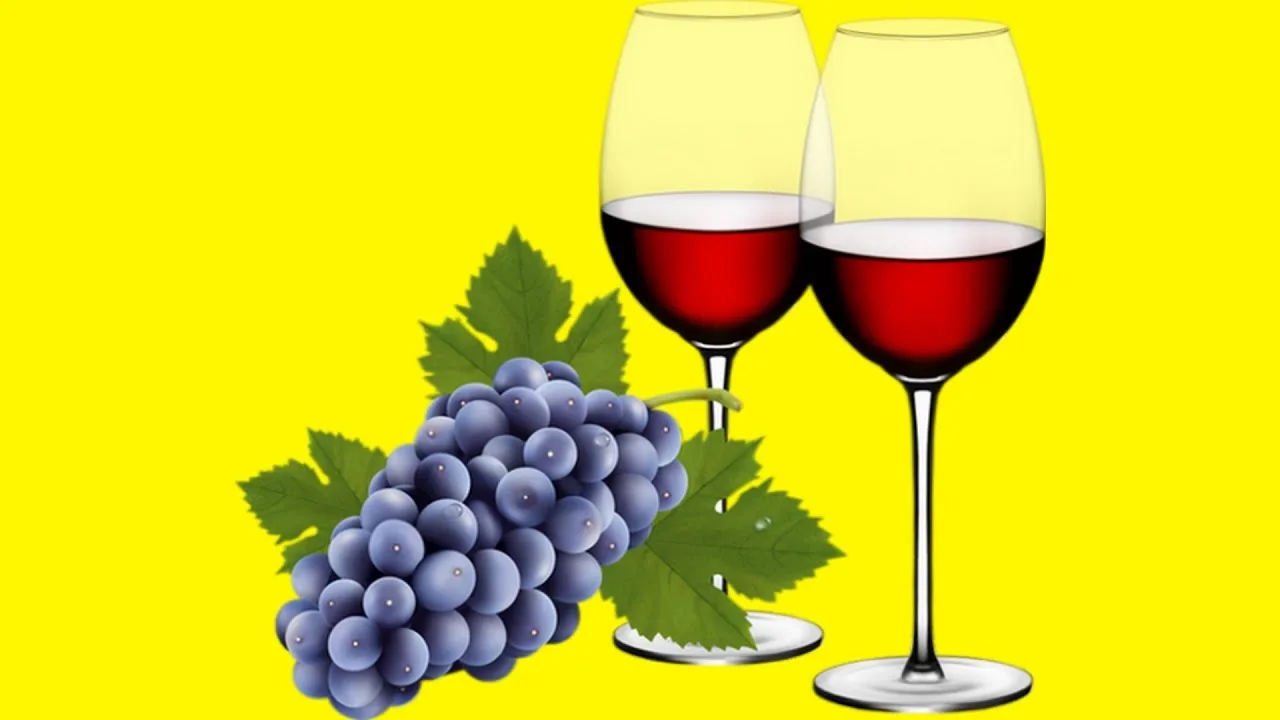 Comment identifier les meilleurs vins du monde ?