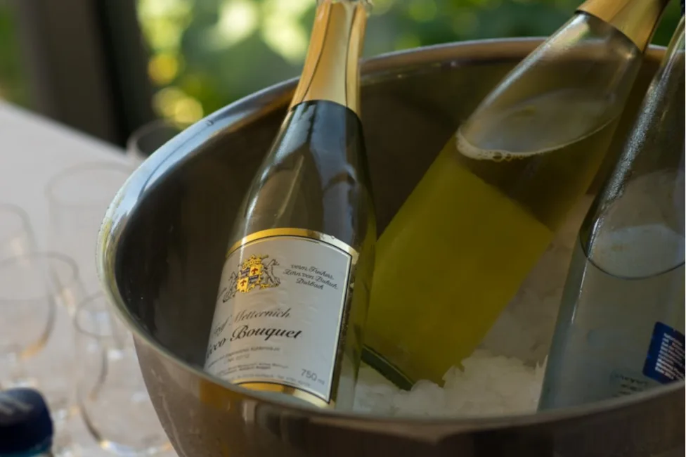 Mettre des glaçons dans son verre de vin : bonne ou mauvaise idée ?