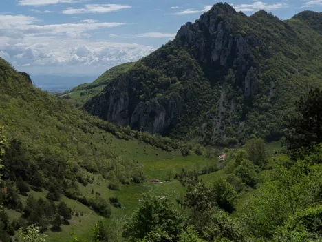 Quel fromage avec le Médoc ?