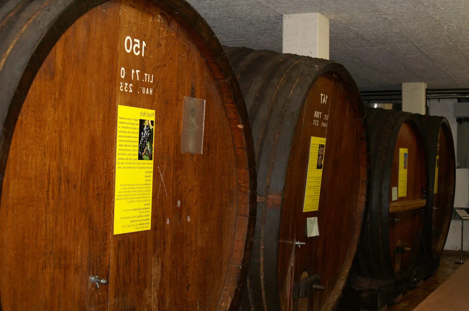Comment faire du vin à base de fruit ?