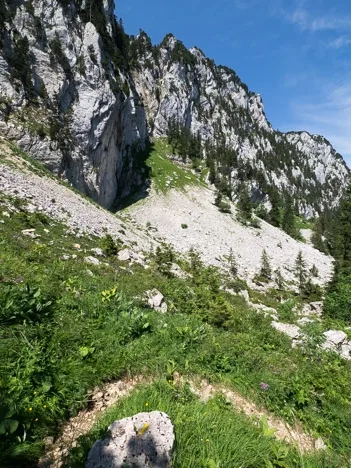 Quand boire un Vosne-romanée ?
