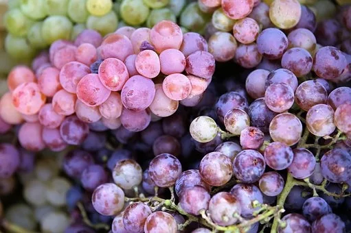 Quel plat avec un Sancerre blanc ?