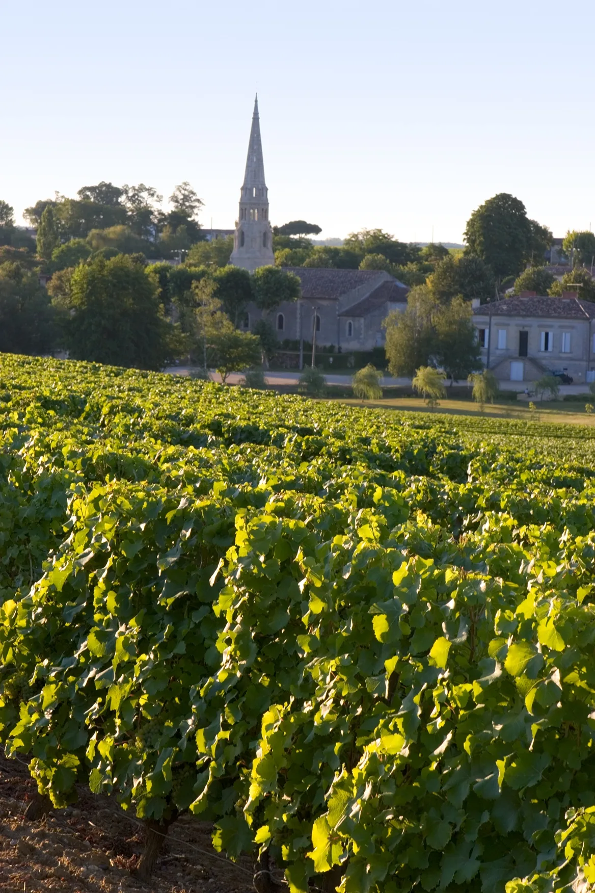 Quel vin d