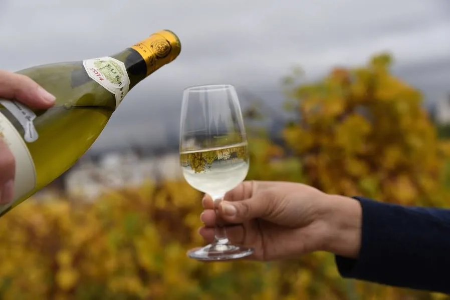La route des vins en taxi anglais pour découvrir les vignobles Bordelais autrement