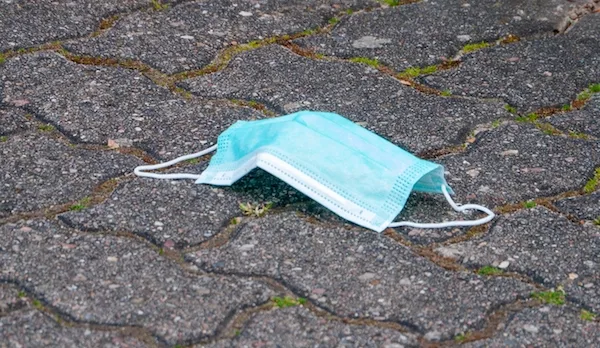 Est-ce que les huîtres sont vivantes quand on les mange ?