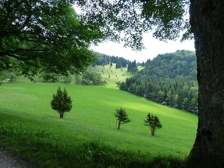 Comment boire du bourgogne ?