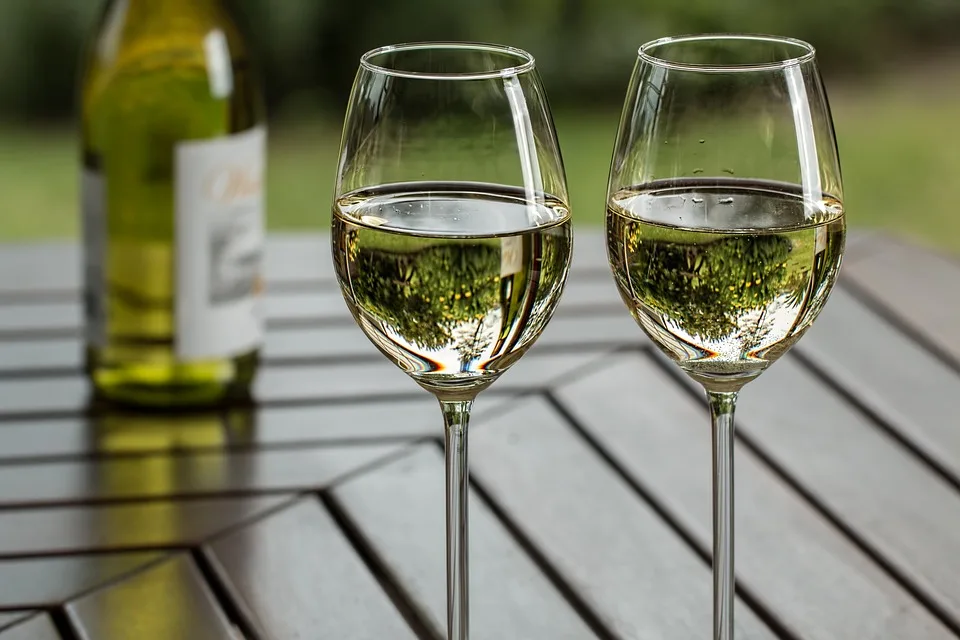Vin de Saint-Emilion : Terroir unique et savoir-faire ancestral