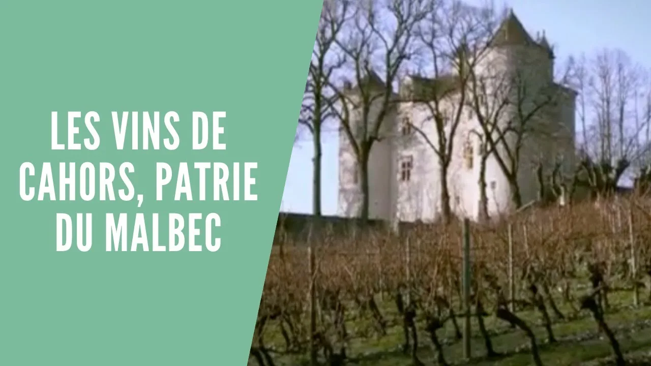 Quels sont les meilleurs vins de Cahors à déguster ?