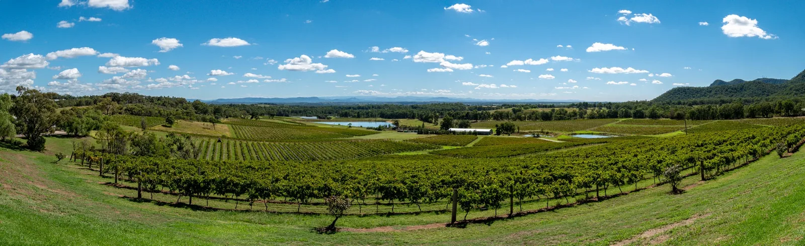 Comment boire le Chateauneuf du Pape ?