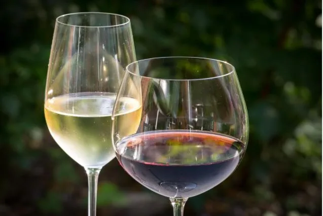 Combien de temps peut-on conserver le vin ?
