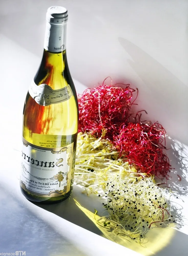 Quel plat avec un riesling grand cru ?