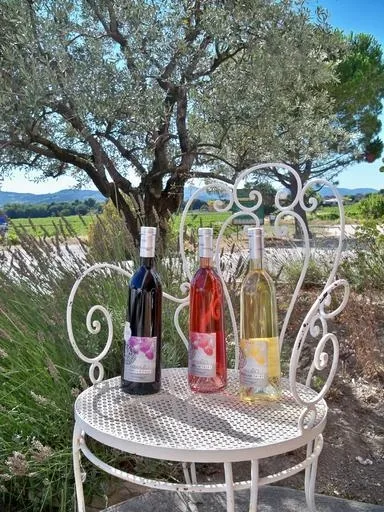 Quel vigneron aller voir à Chateauneuf du Pape ?