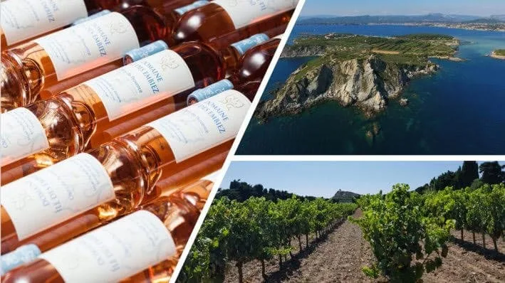 Domaine viticole de l’îles des Embiez, un vignoble unique en bord de mer à découvrir cet été pendant vos vacances