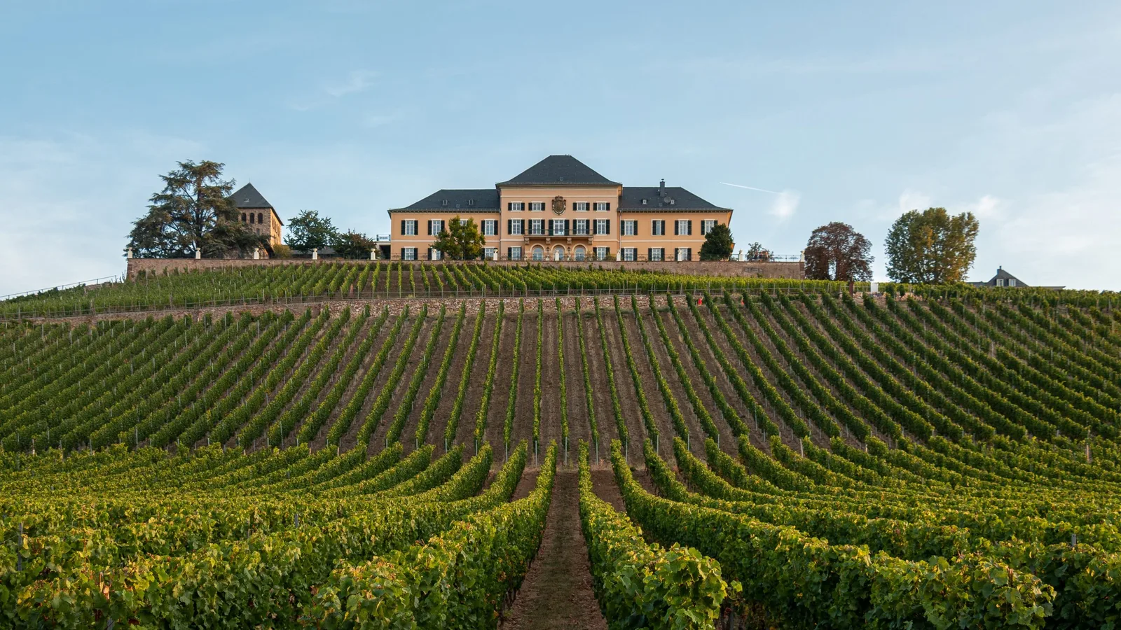 Comment reconnaître un vin moelleux ?