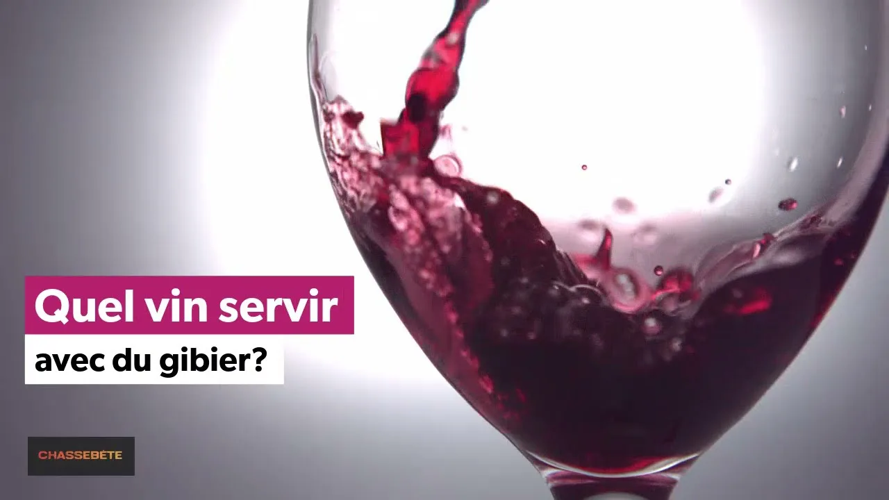 Plumes, Poils et Pépites en Bouteille : Découvrez les Accords Vins-Gibier du Chef Banctel et du Sommelier Lacoste